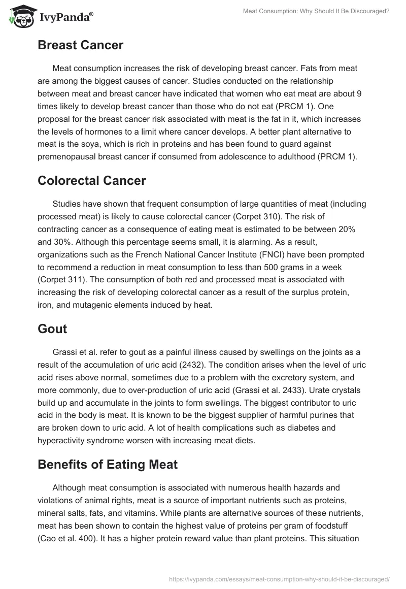 Meat Consumption: Why Should It Be Discouraged?. Page 3