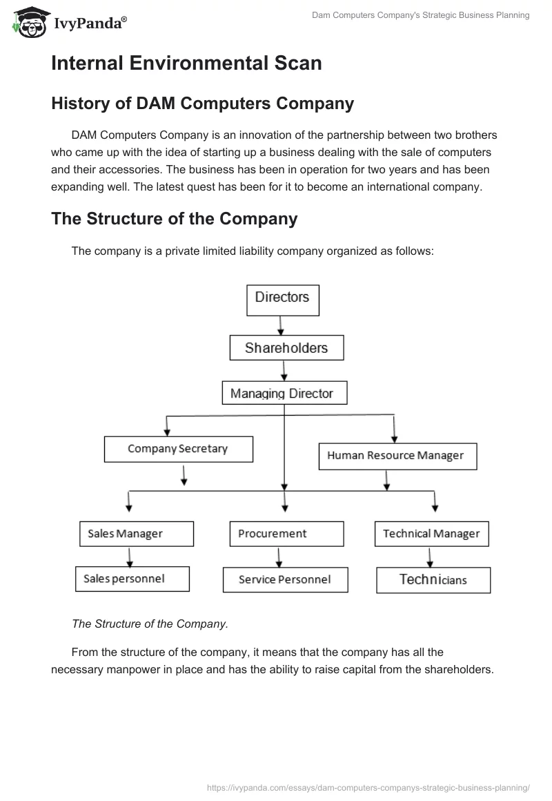 Dam Computers Company's Strategic Business Planning. Page 3