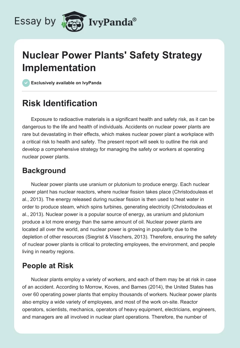 Nuclear Power Plants' Safety Strategy Implementation. Page 1