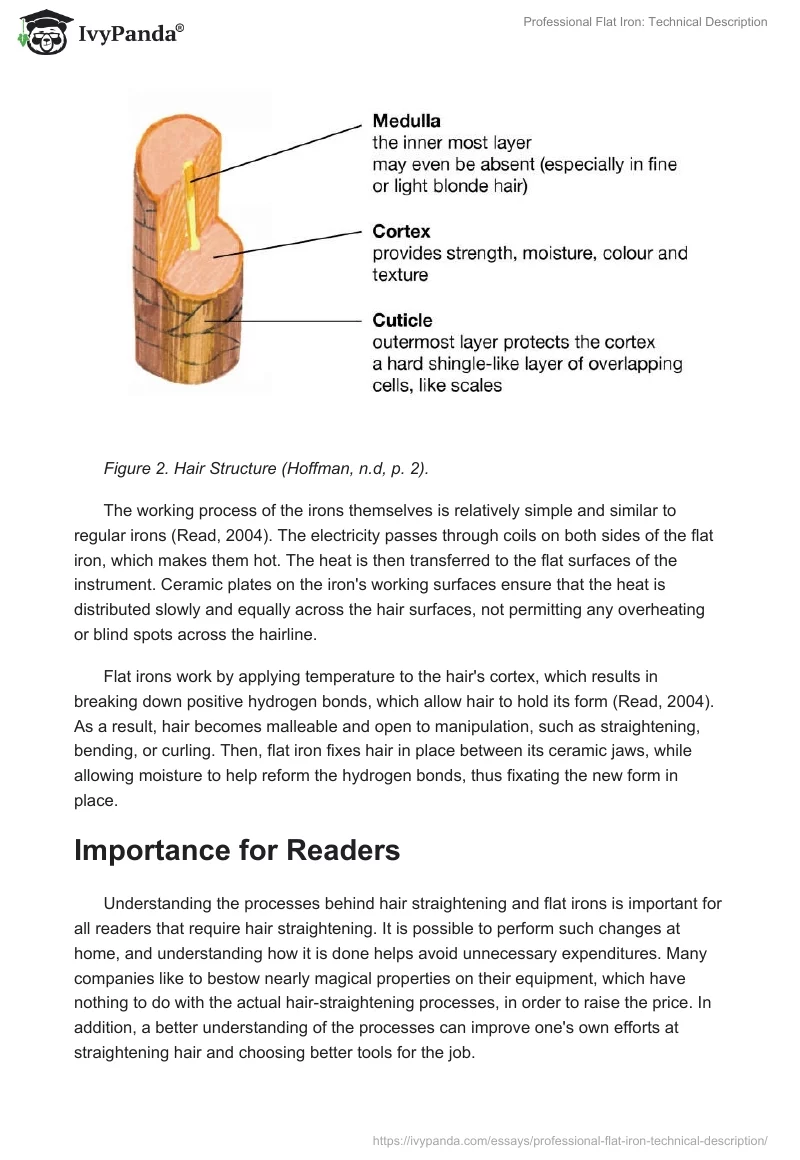 Professional Flat Iron: Technical Description. Page 3