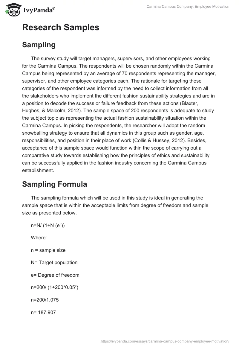 Carmina Campus Company: Employee Motivation. Page 3