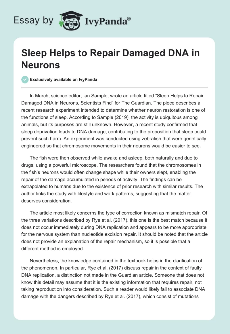 Sleep Helps to Repair Damaged DNA in Neurons. Page 1