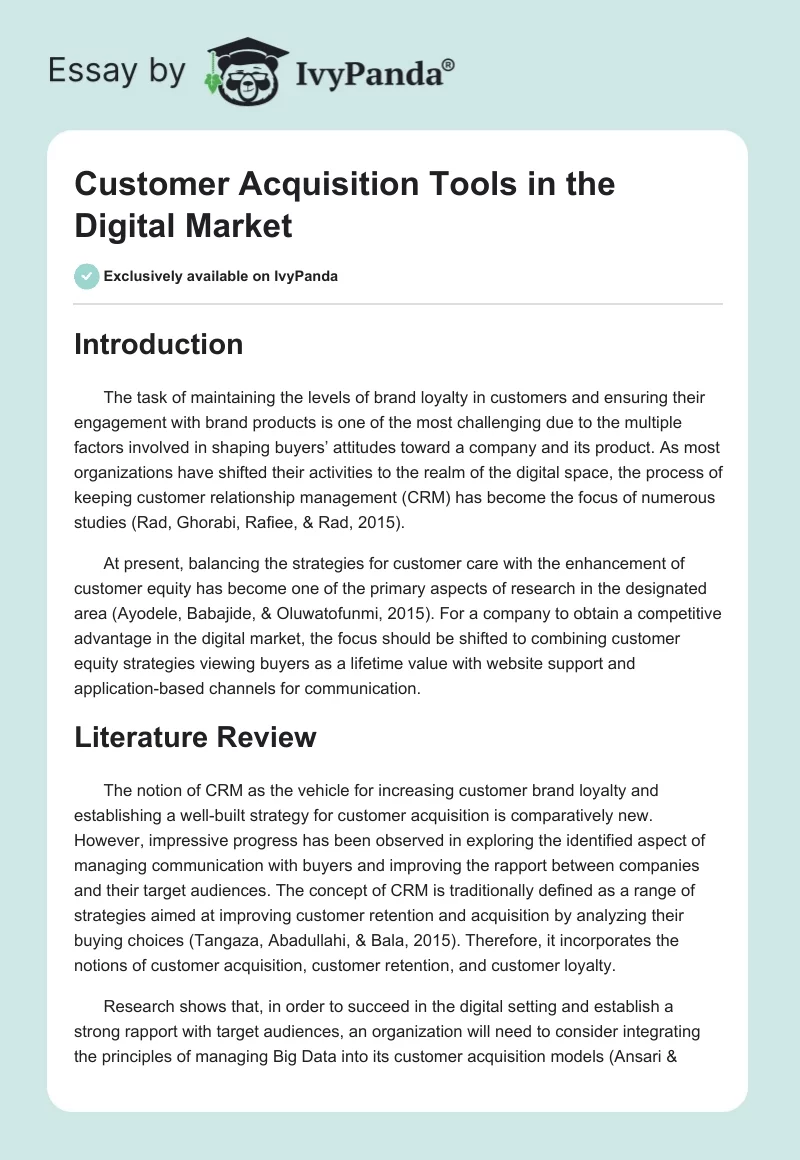 Customer Acquisition Tools in the Digital Market. Page 1