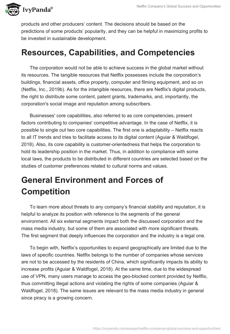 Netflix Company's Global Success and Opportunities. Page 2