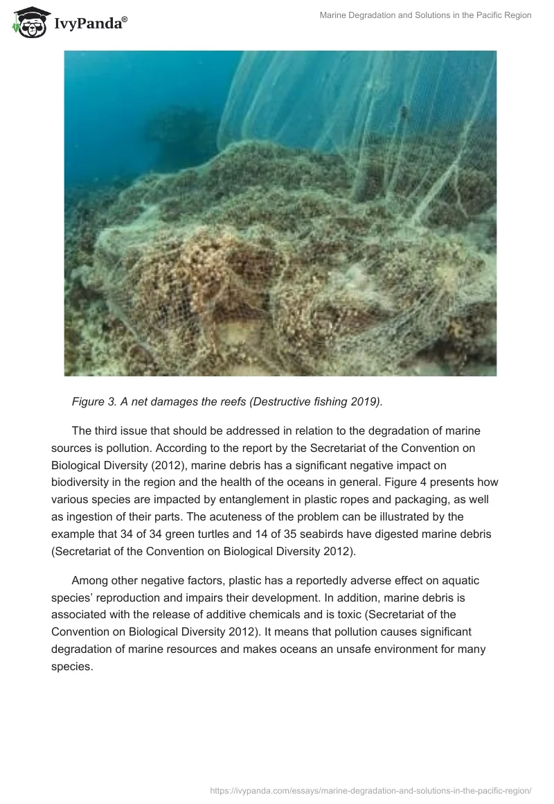 Marine Degradation and Solutions in the Pacific Region. Page 4