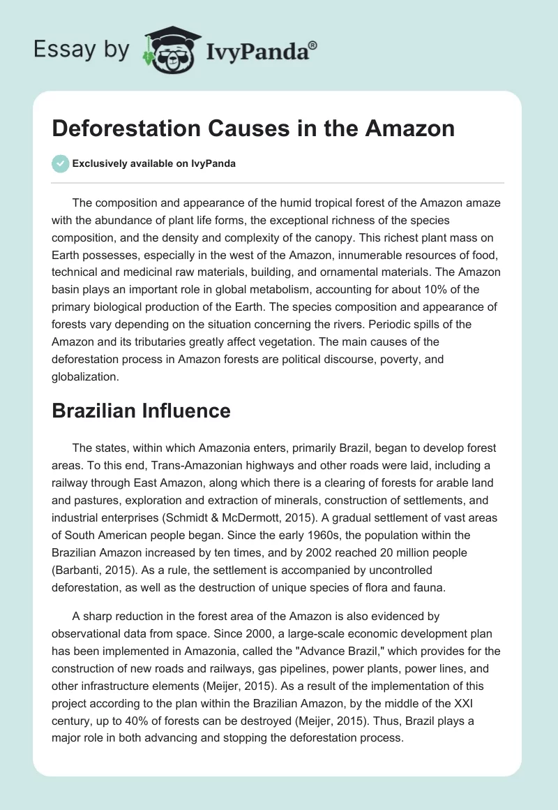 Deforestation Causes in the Amazon. Page 1
