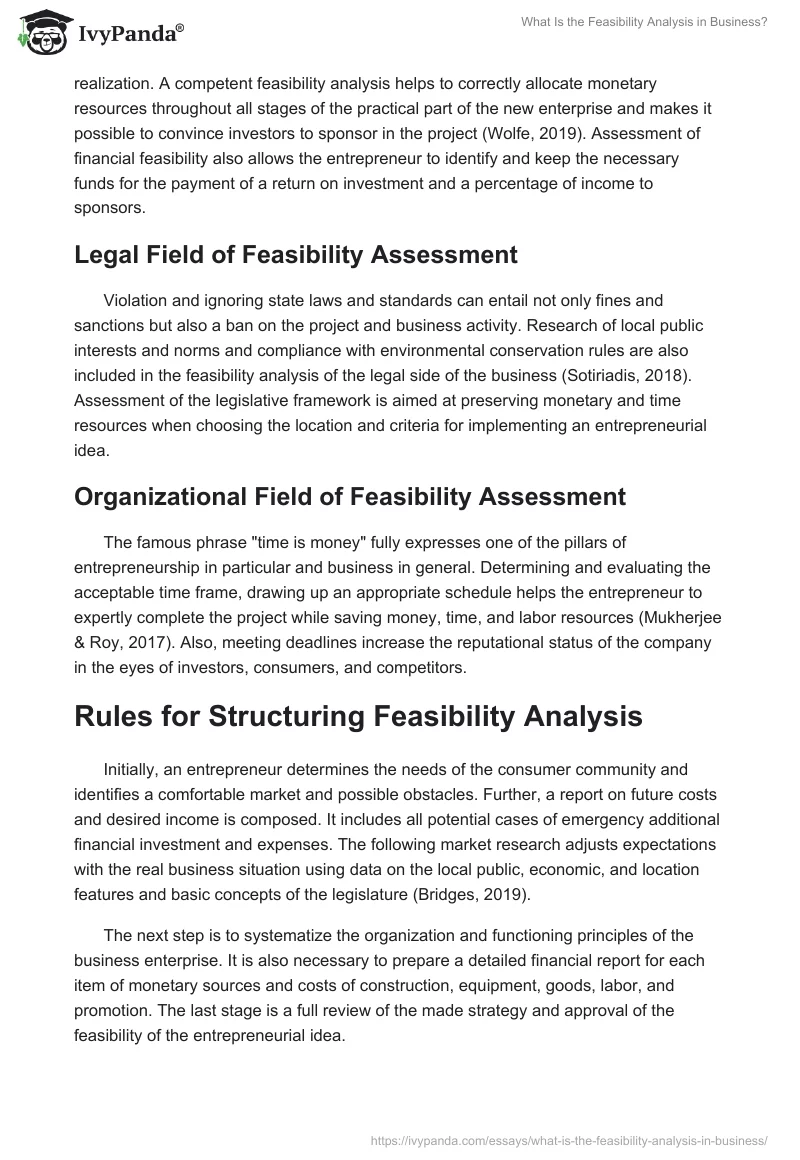 What Is the Feasibility Analysis in Business?. Page 3