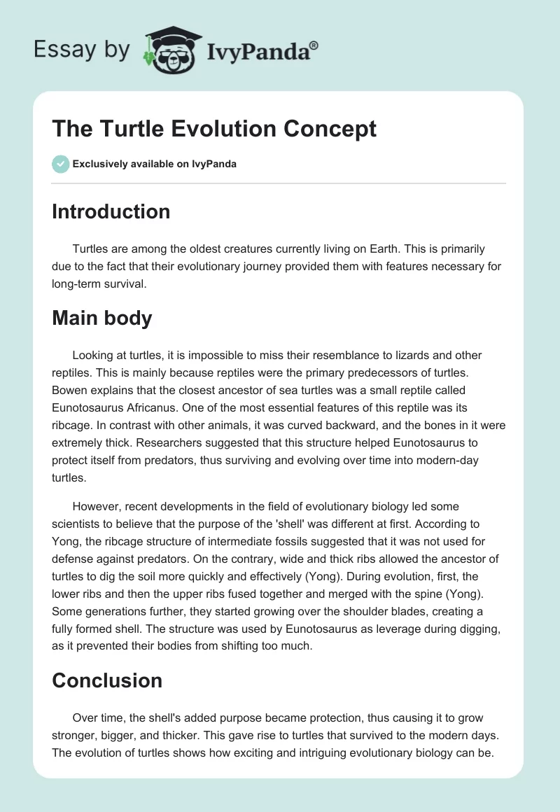 The Turtle Evolution Concept. Page 1