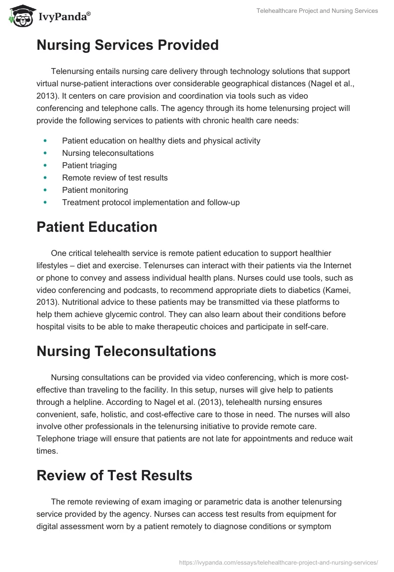 Telehealthcare Project and Nursing Services. Page 2