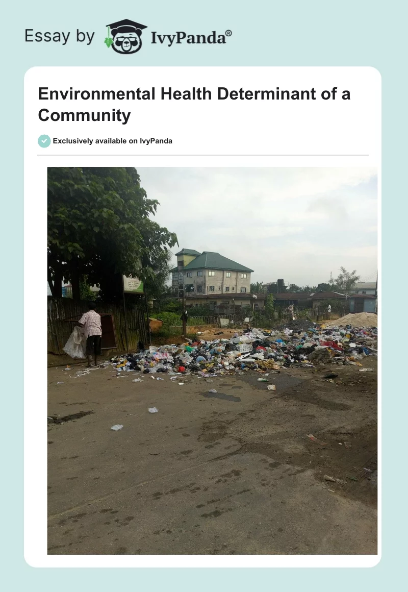 Environmental Health Determinant of a Community. Page 1