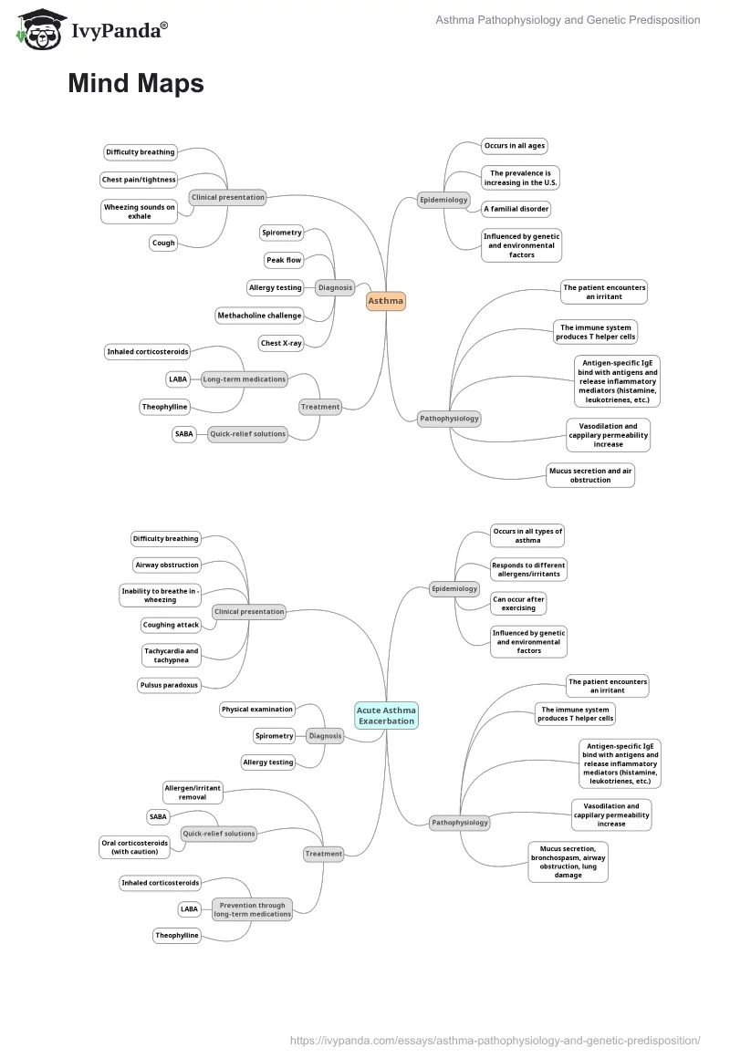 Asthma Pathophysiology and Genetic Predisposition. Page 3
