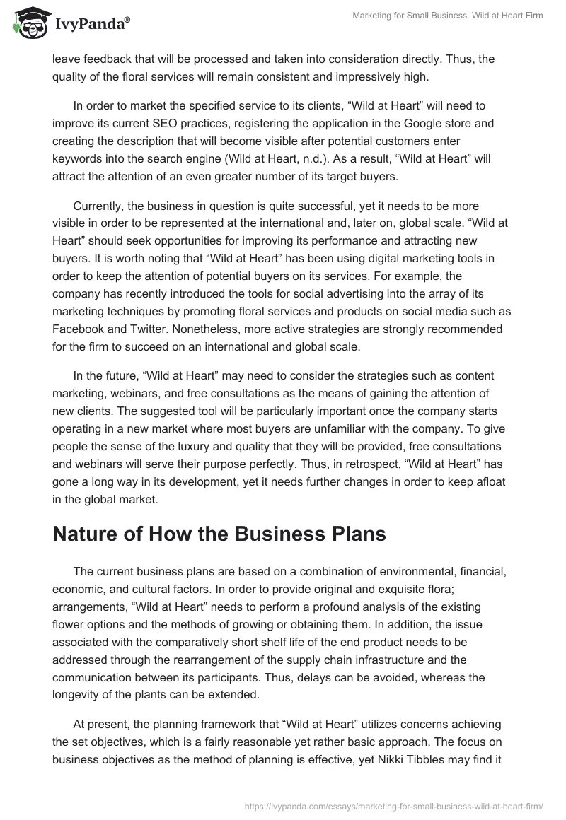 Marketing for Small Business. Wild at Heart Firm. Page 5