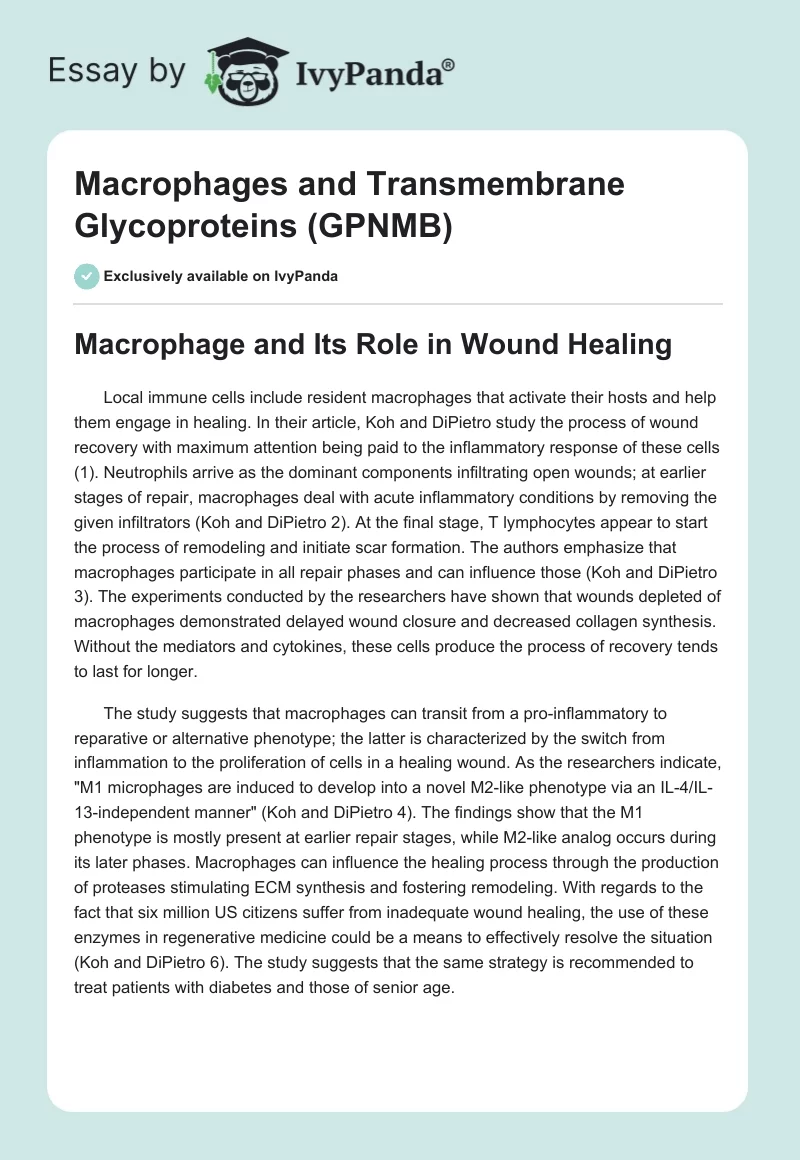 Macrophages and Transmembrane Glycoproteins (GPNMB). Page 1