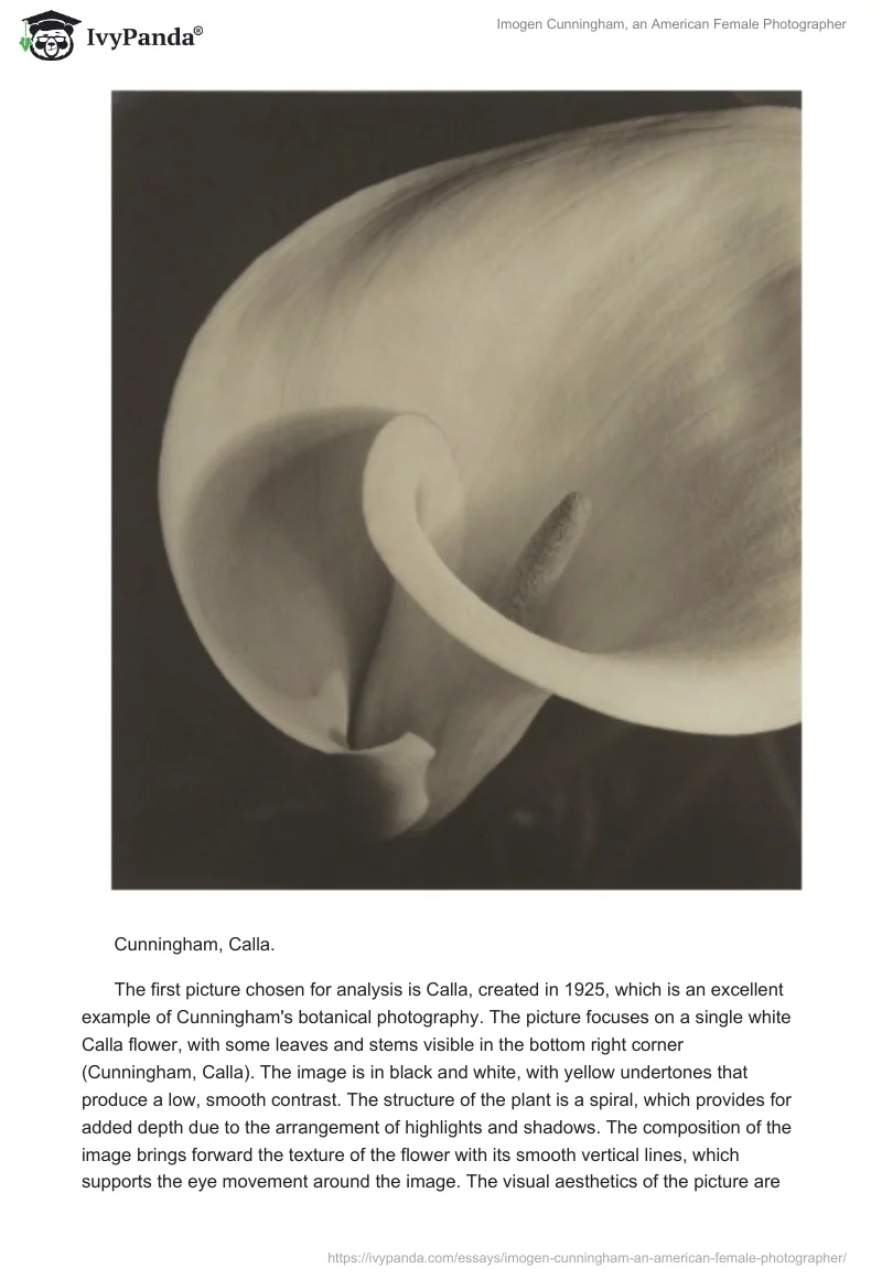 Imogen Cunningham, an American Female Photographer. Page 2