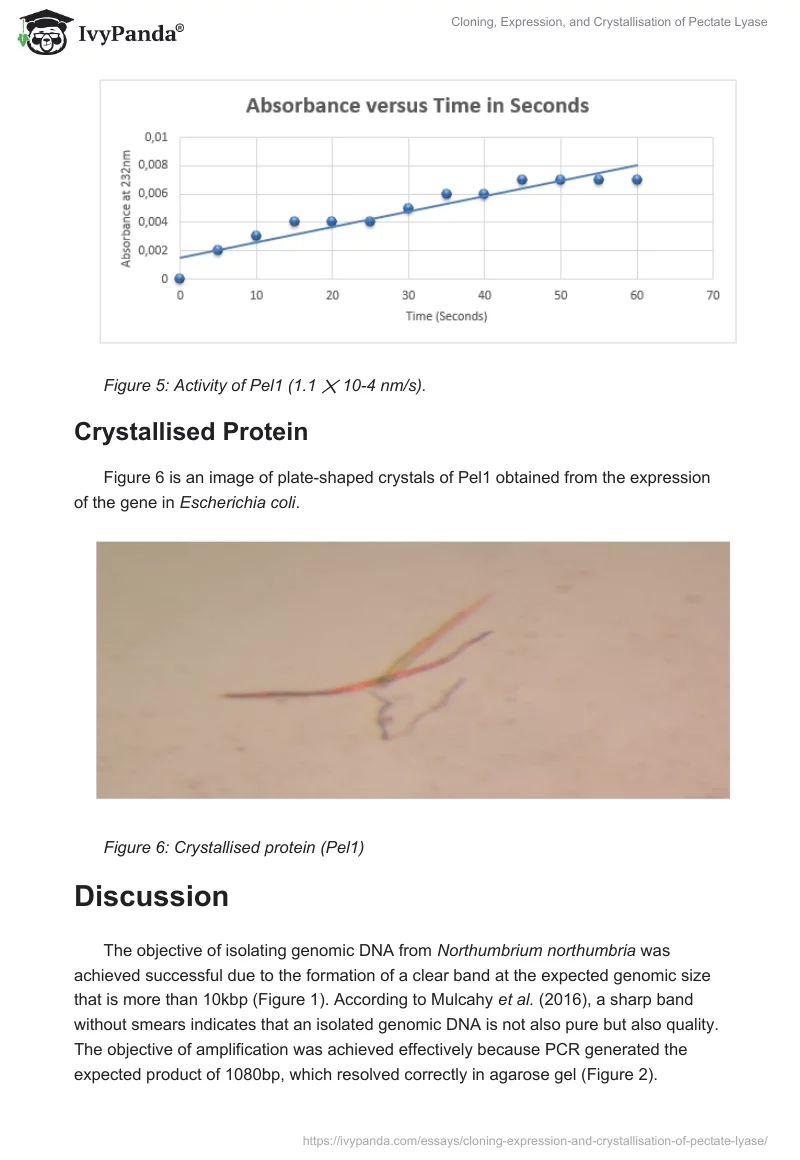 Cloning, Expression, and Crystallisation of Pectate Lyase. Page 5