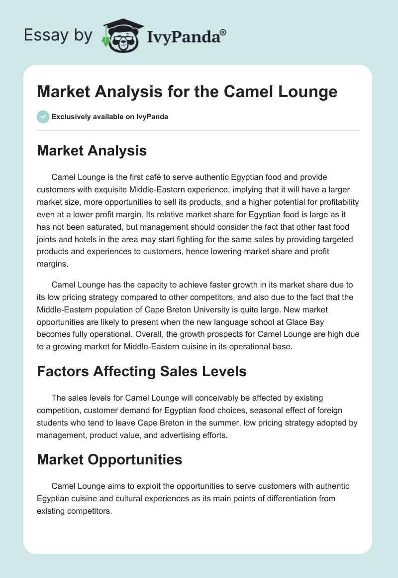 Market Analysis for the Camel Lounge. Page 1
