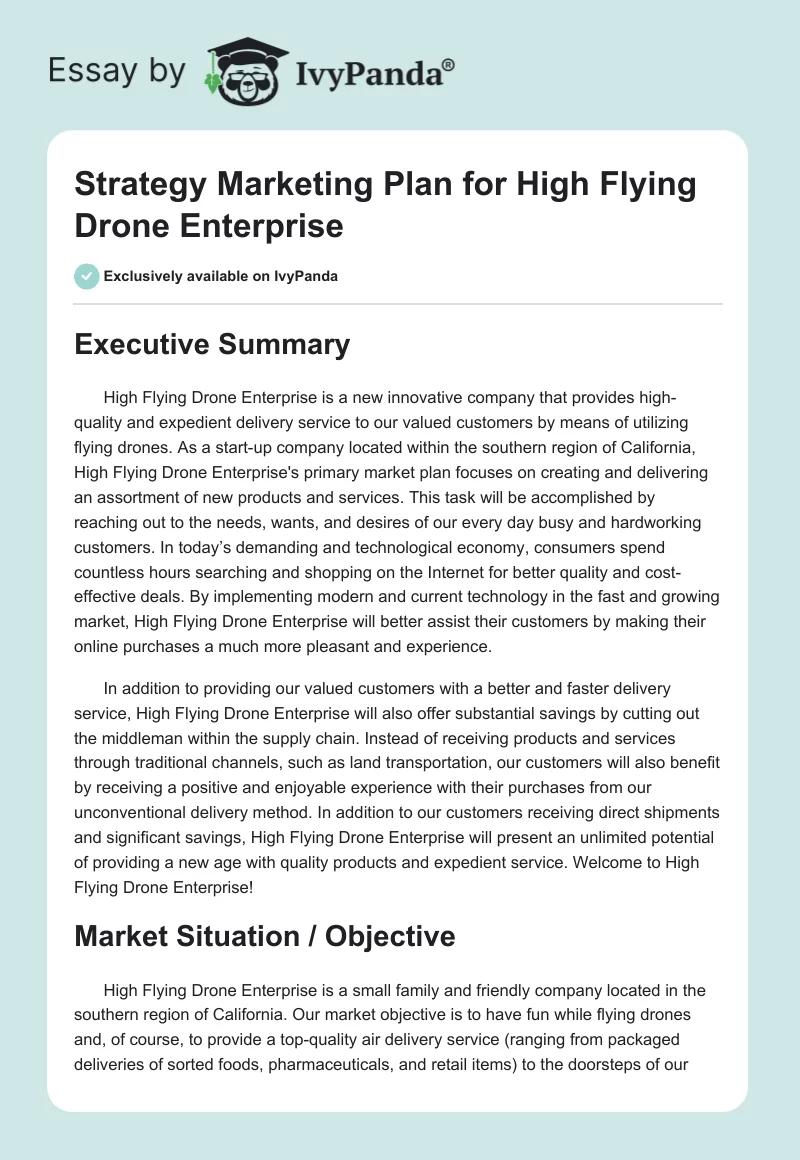 Strategy Marketing Plan for "High Flying Drone Enterprise". Page 1