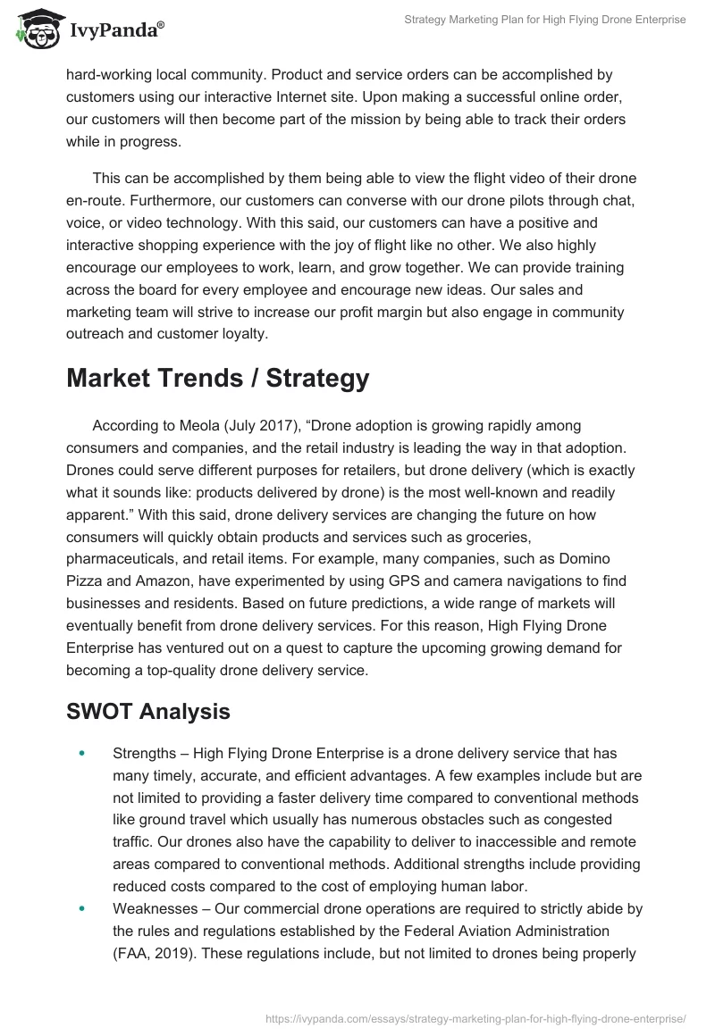 Strategy Marketing Plan for "High Flying Drone Enterprise". Page 2