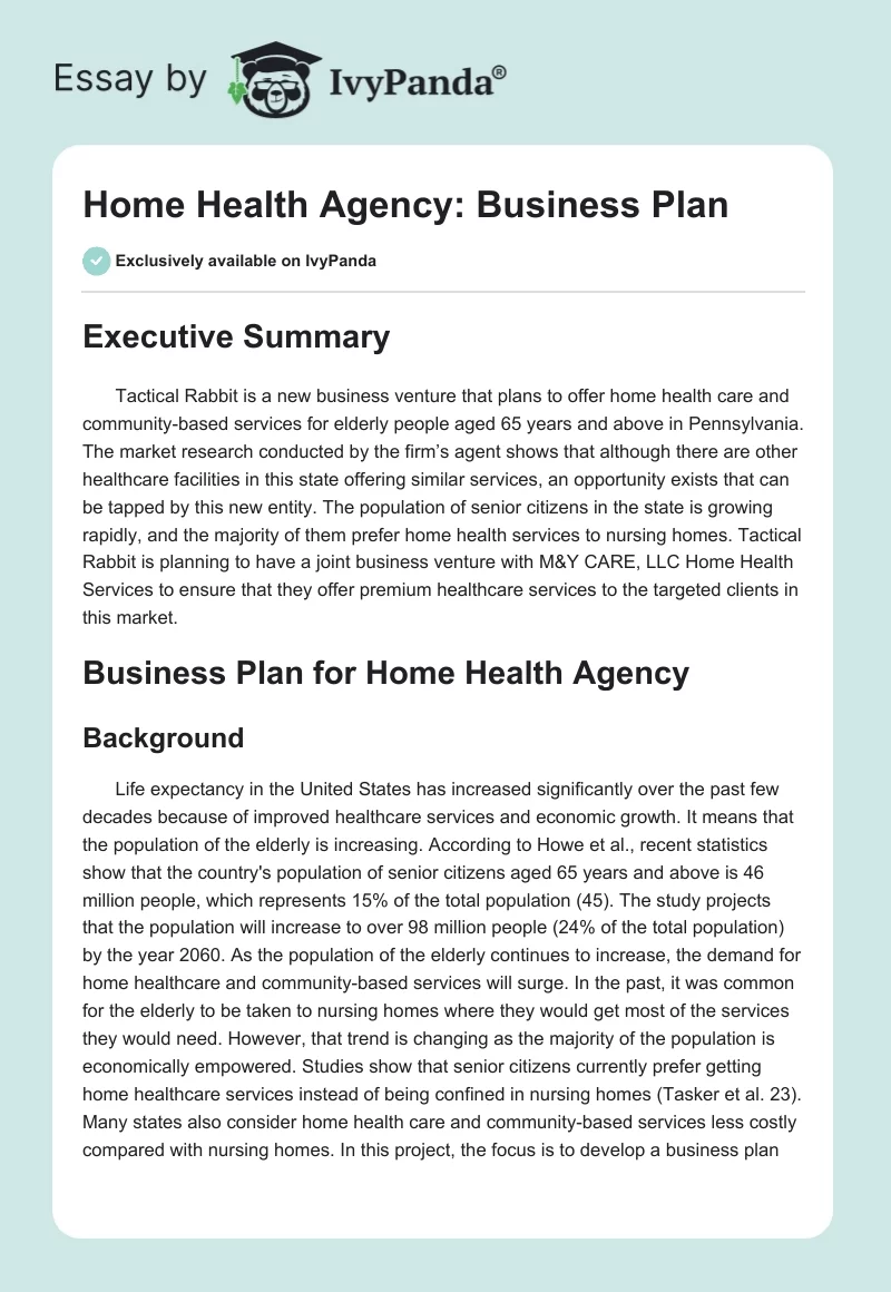 Home Health Agency: Business Plan. Page 1
