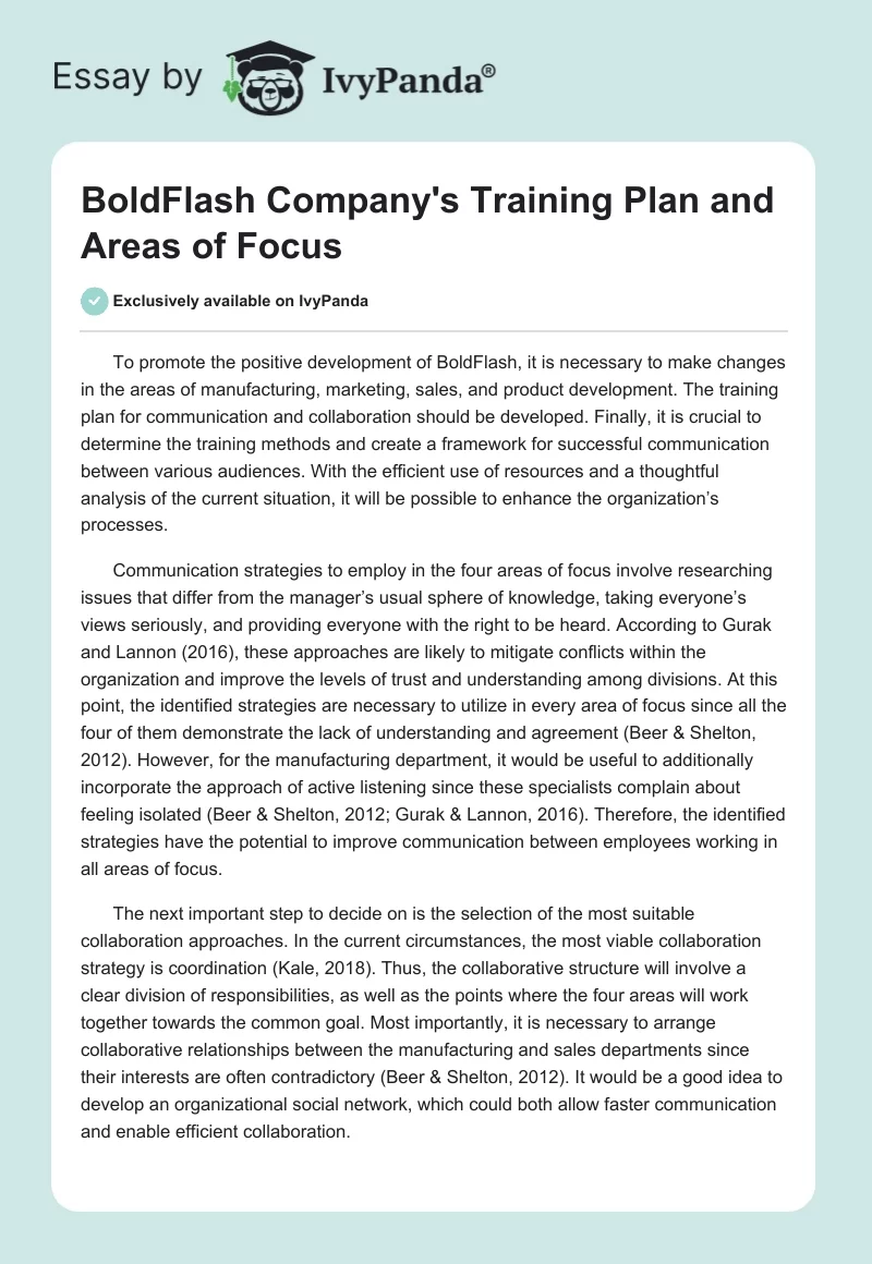 BoldFlash Company's Training Plan and Areas of Focus. Page 1