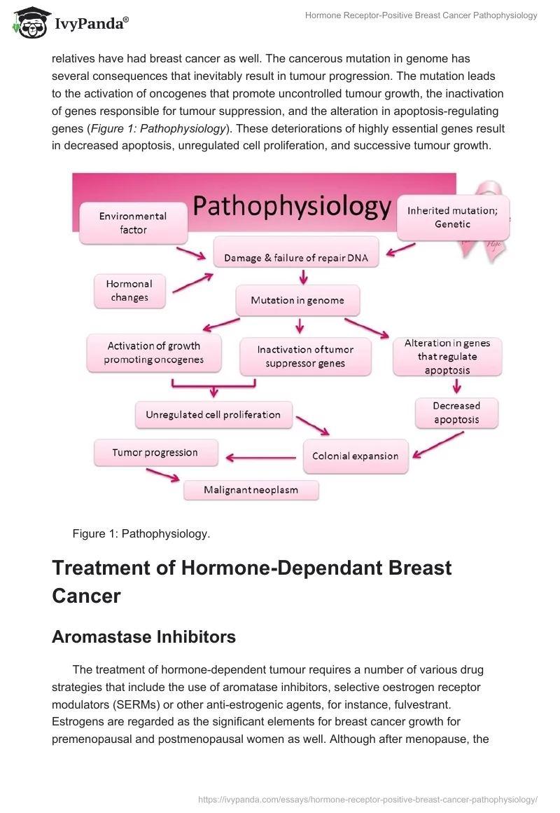 Hormone Receptor-Positive Breast Cancer Pathophysiology. Page 3