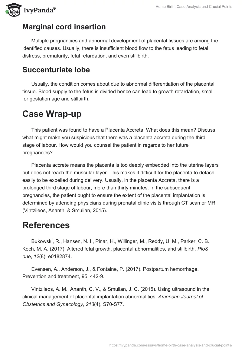 Home Birth: Case Analysis and Crucial Points. Page 4