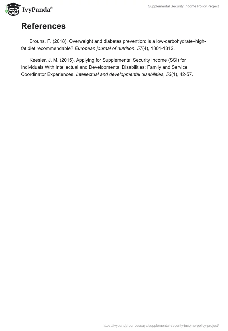 Supplemental Security Income Policy Project. Page 2
