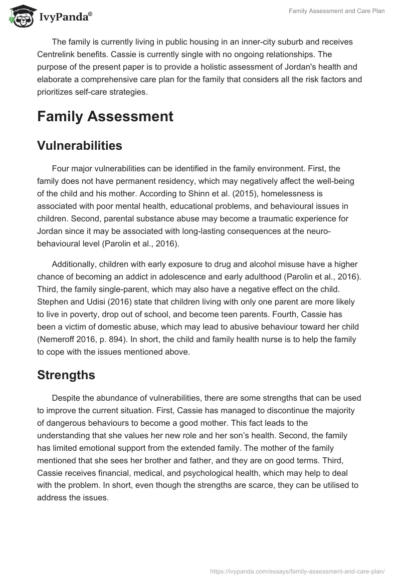 Family Assessment and Care Plan. Page 2
