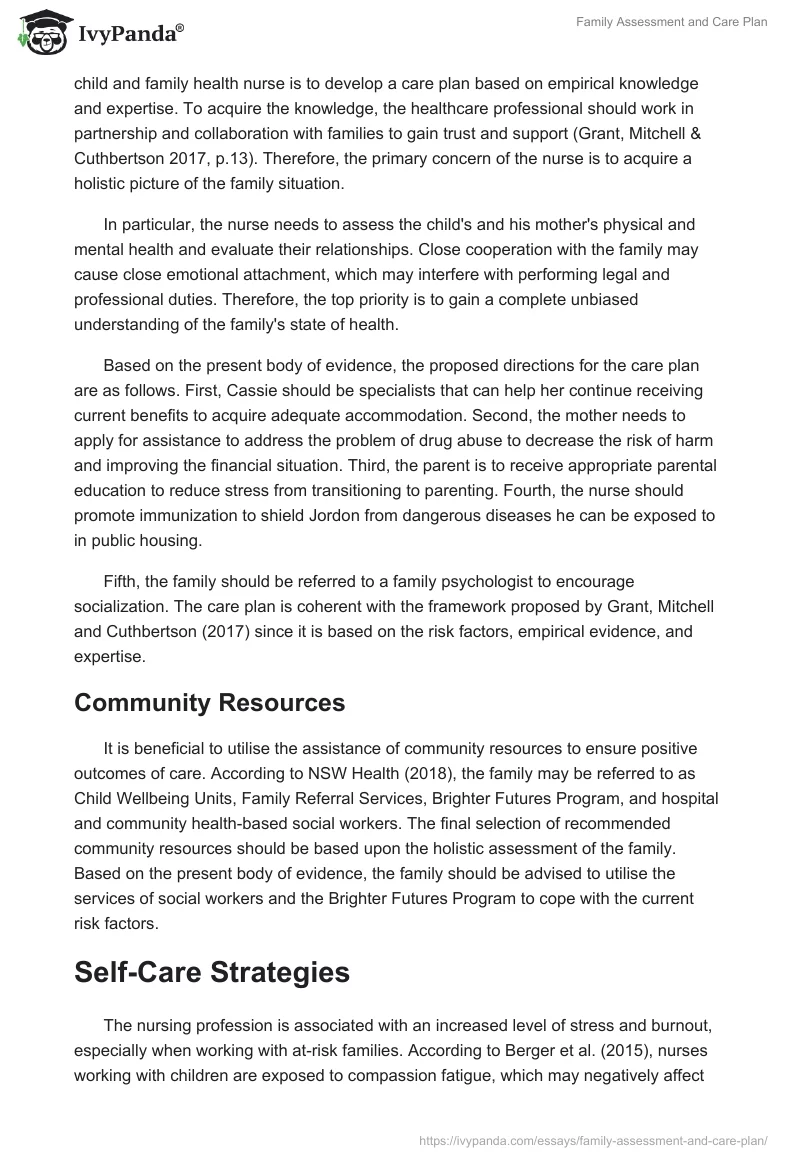 Family Assessment and Care Plan. Page 5