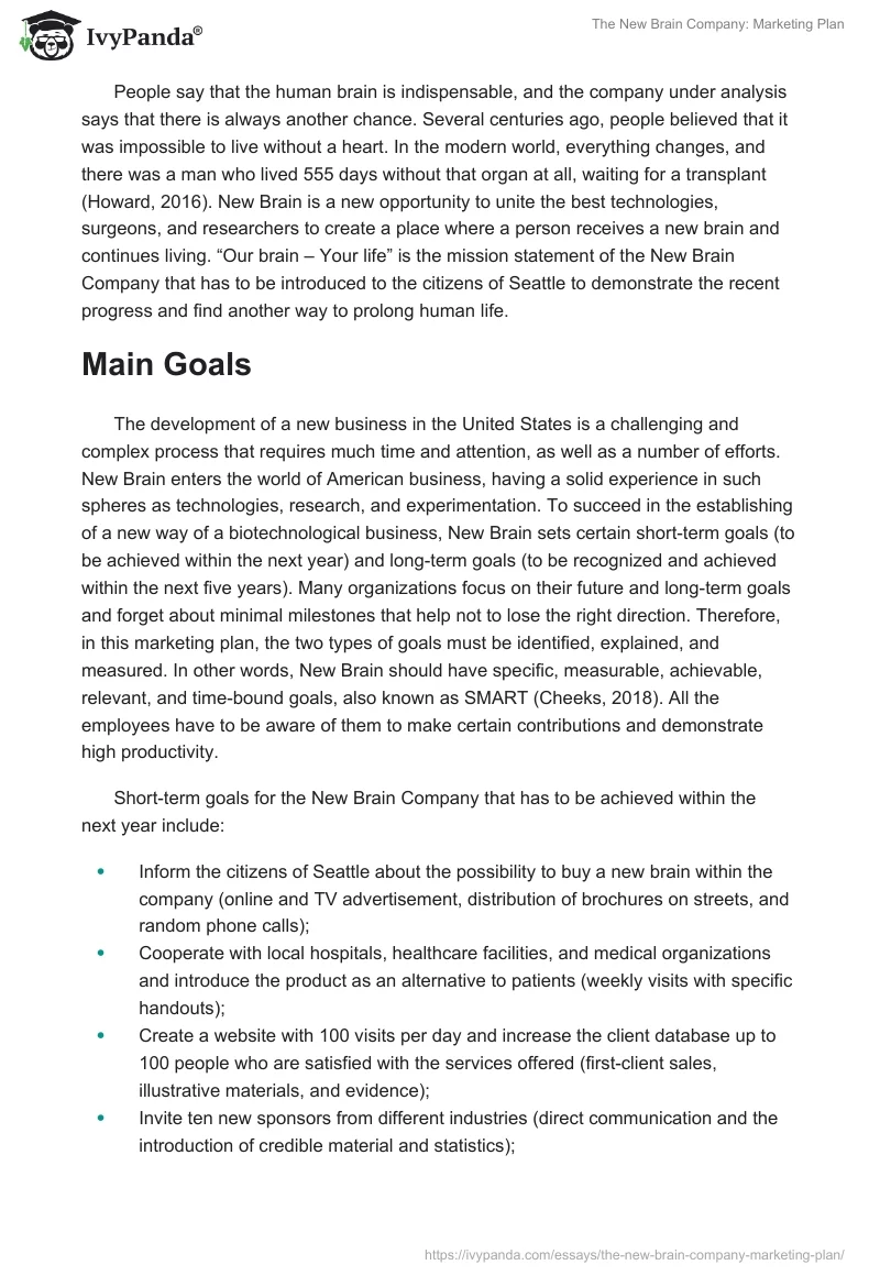 The New Brain Company: Marketing Plan. Page 2