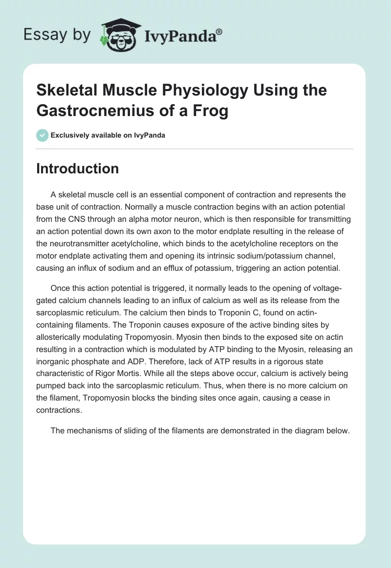 Skeletal Muscle Physiology Using the Gastrocnemius of a Frog. Page 1