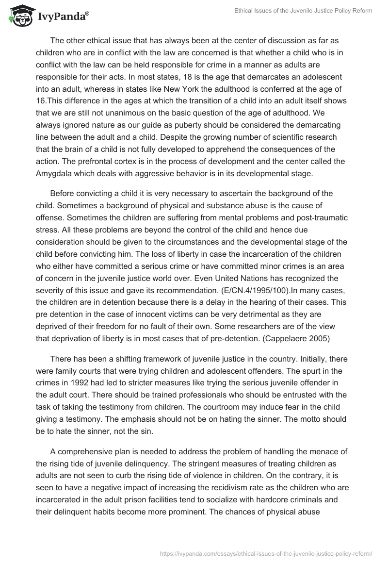 Ethical Issues of the Juvenile Justice Policy Reform. Page 3
