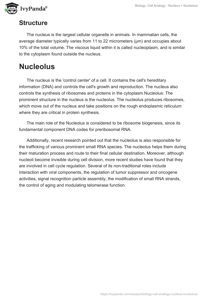 Biology. Cell Analogy - Nucleus + Nucleolus. Page 3