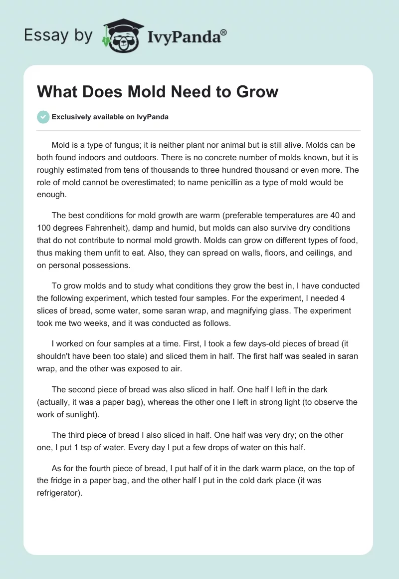 What Does Mold Need to Grow. Page 1