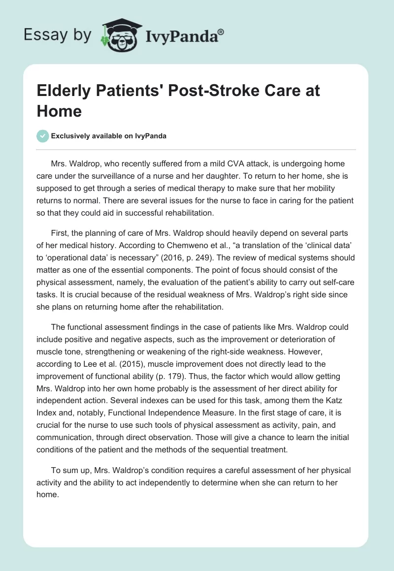 Elderly Patients' Post-Stroke Care at Home. Page 1