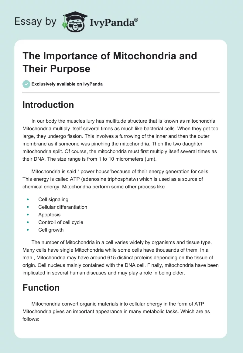 The Importance of Mitochondria and Their Purpose. Page 1