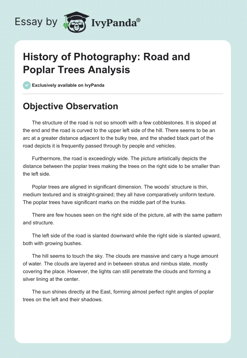 History of Photography: Road and Poplar Trees Analysis. Page 1