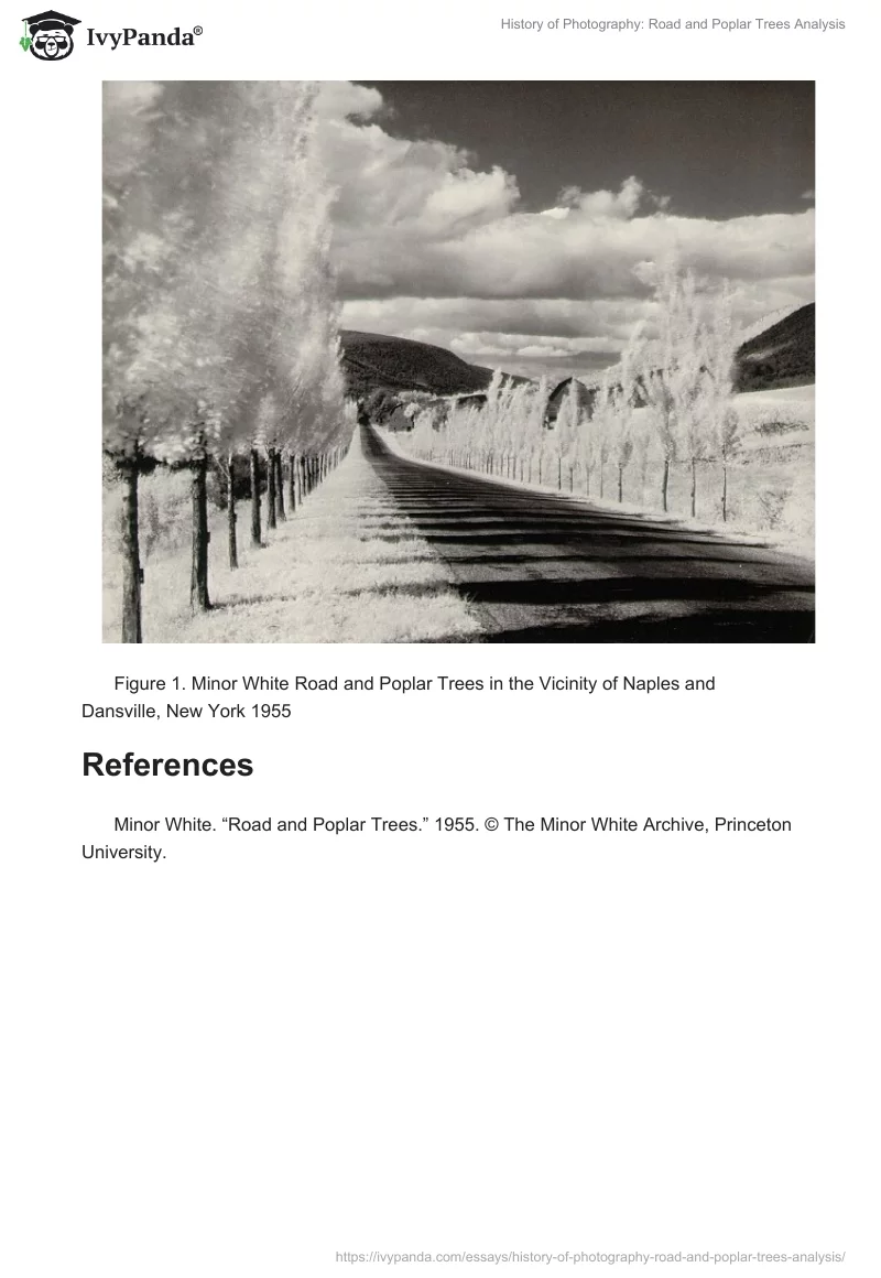 History of Photography: Road and Poplar Trees Analysis. Page 3