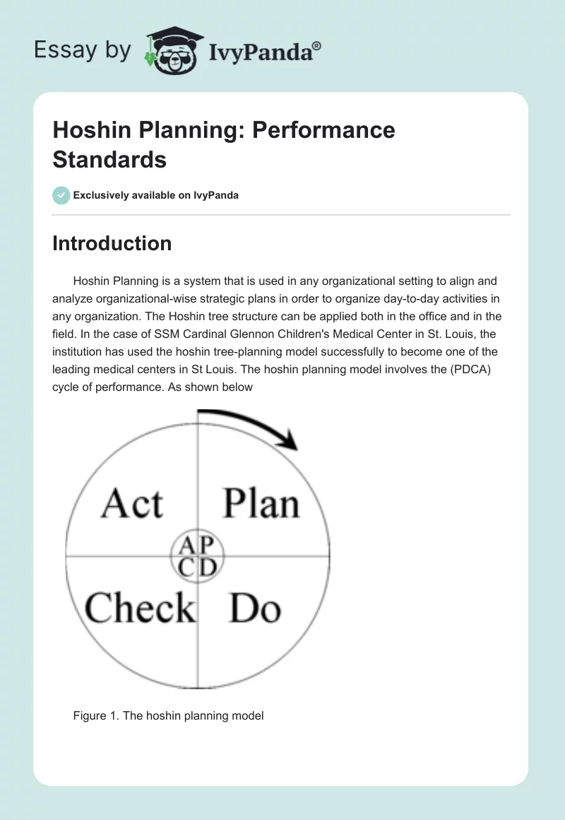 Hoshin Planning: Performance Standards. Page 1