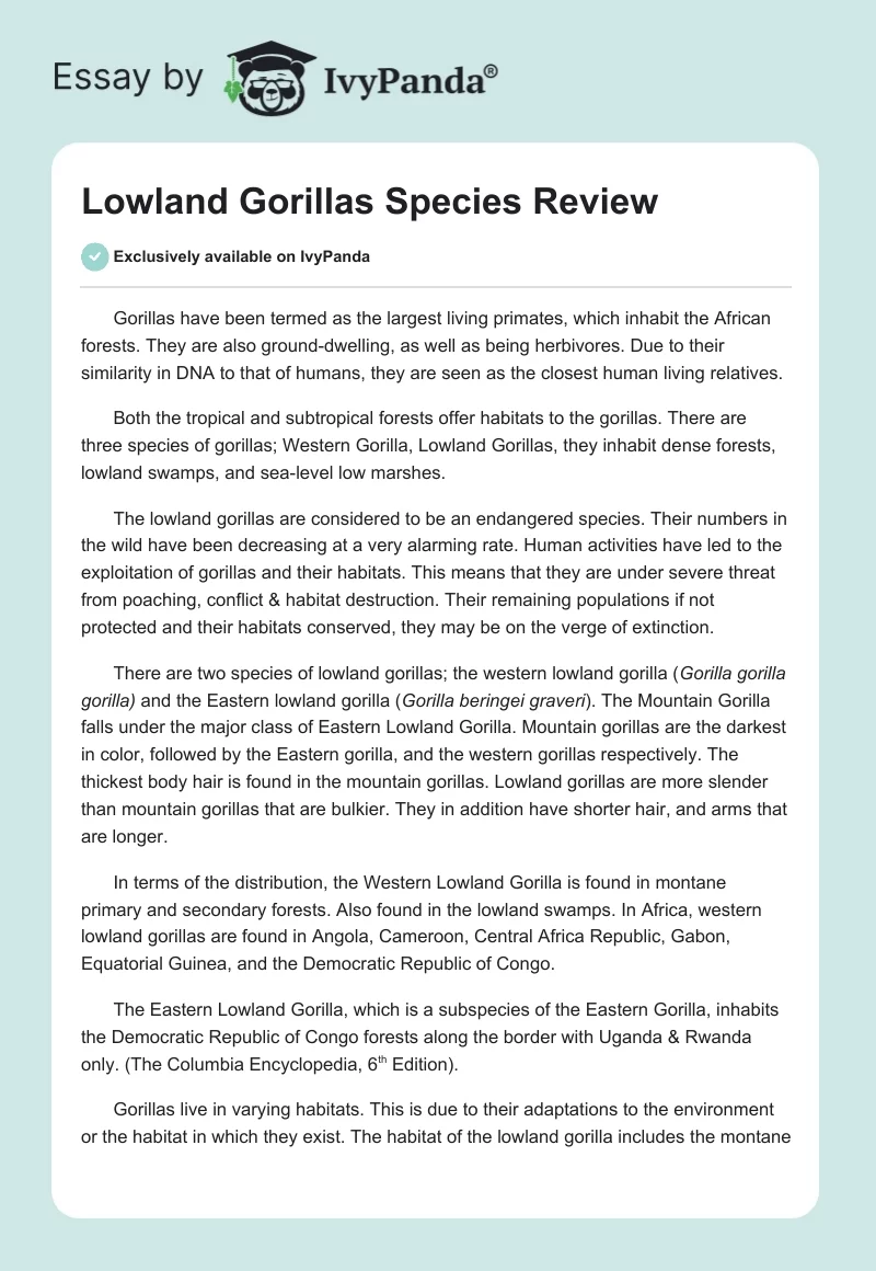 Lowland Gorillas Species Review. Page 1