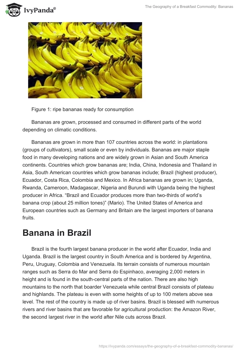 The Geography of a Breakfast Commodity: Bananas. Page 2