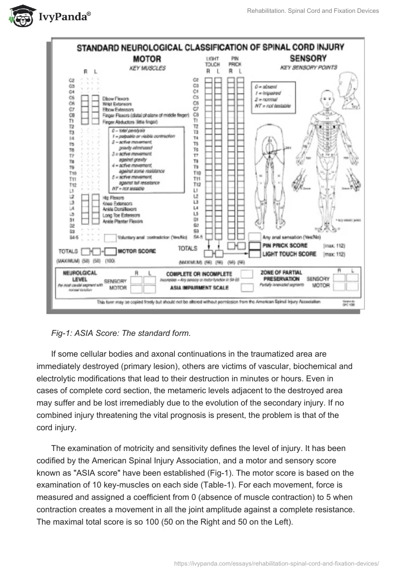 Rehabilitation. Spinal Cord and Fixation Devices. Page 4