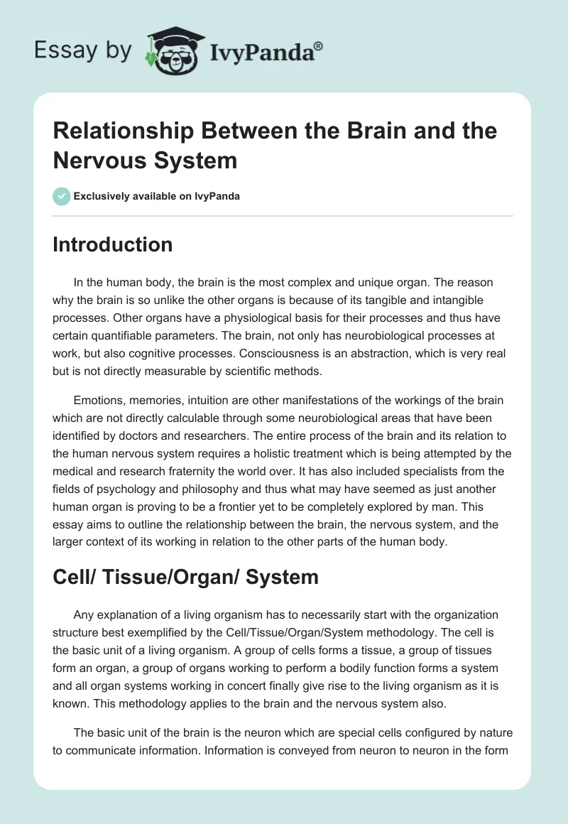 Relationship Between the Brain and the Nervous System. Page 1