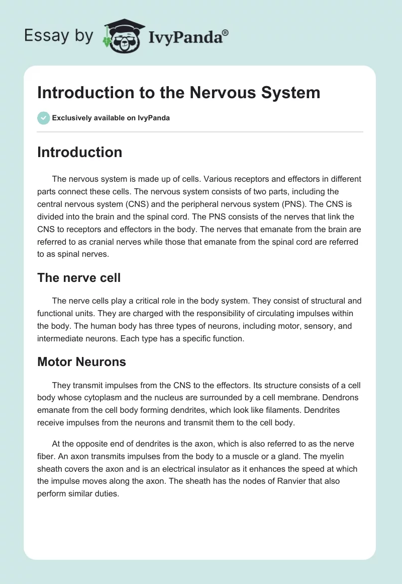 essay on nervous system