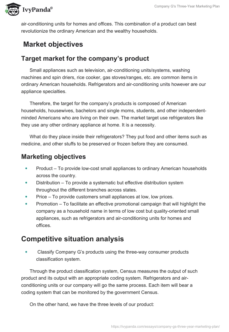 Company G's Three-Year Marketing Plan. Page 3