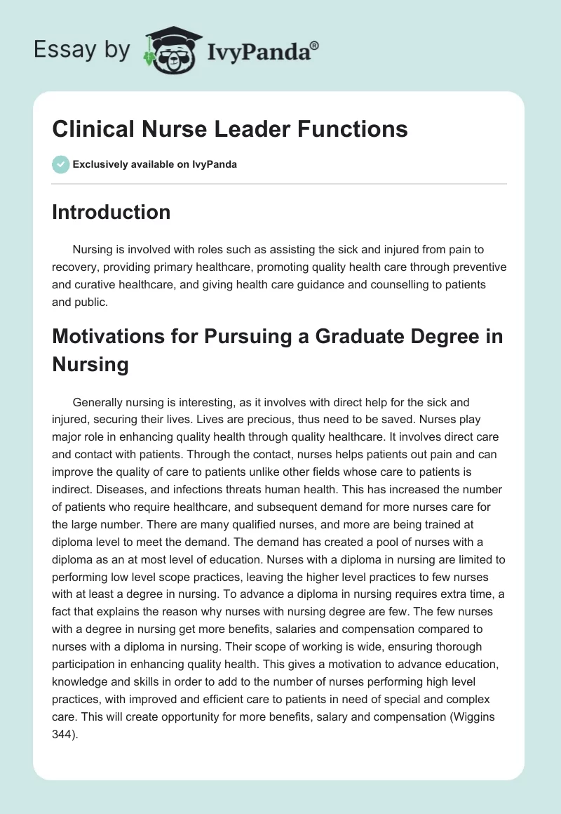 Clinical Nurse Leader Functions. Page 1