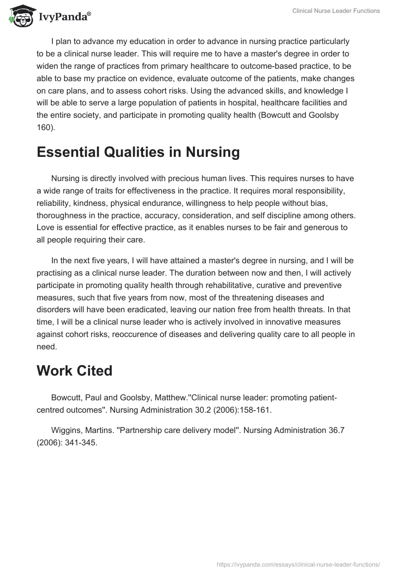 Clinical Nurse Leader Functions. Page 2