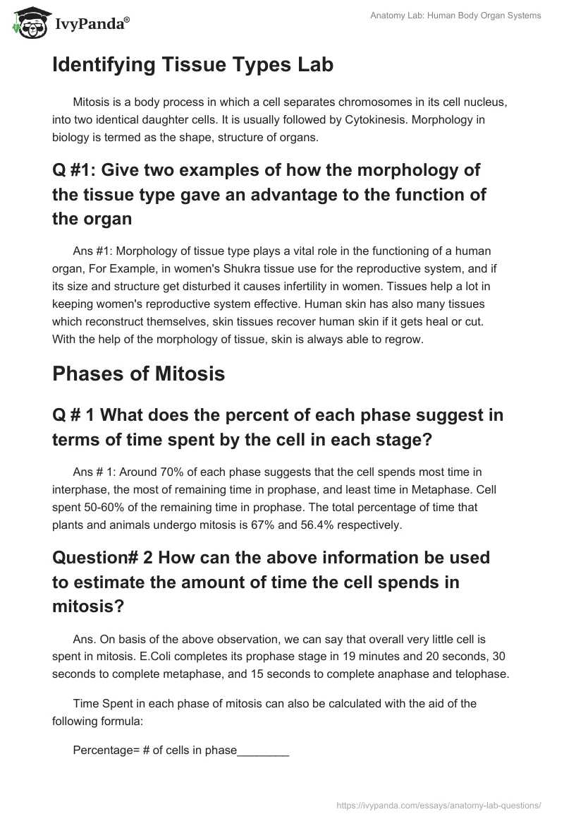 Anatomy Lab: Human Body Organ Systems. Page 2