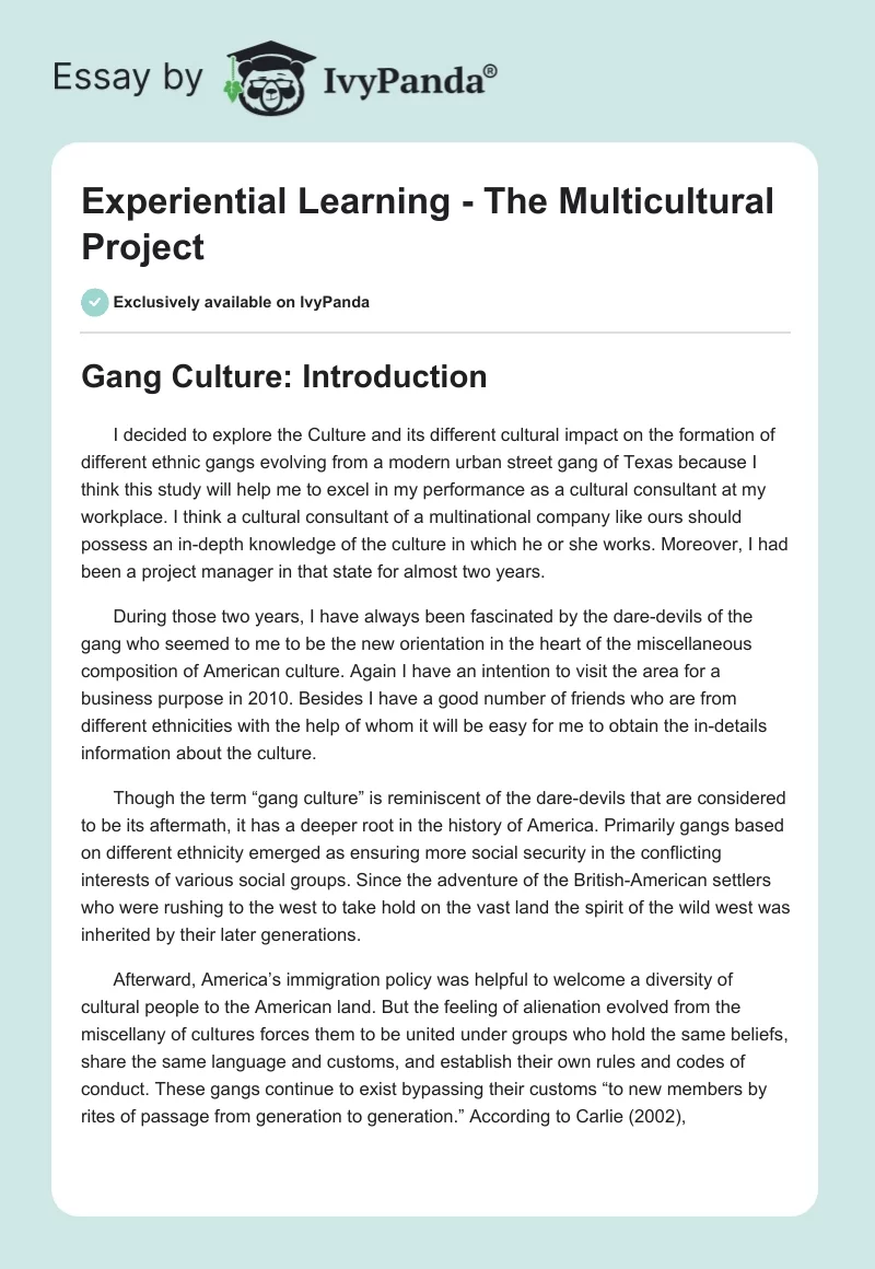 Experiential Learning - The Multicultural Project. Page 1