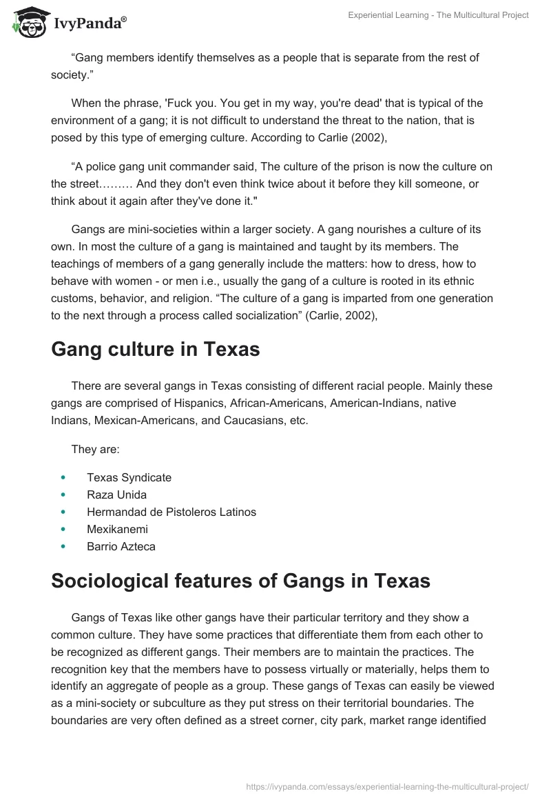Experiential Learning - The Multicultural Project. Page 2
